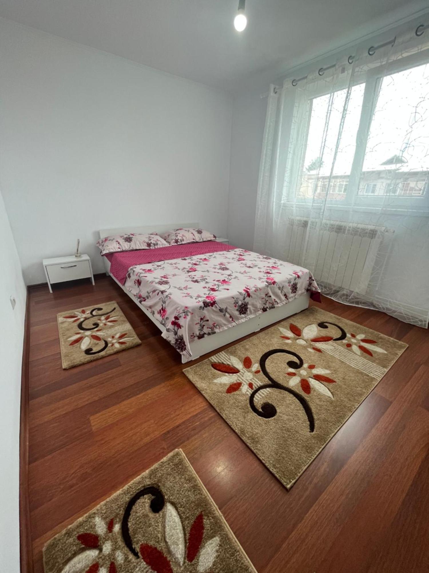 Concept Home Valcea Râmnicu Vâlcea エクステリア 写真
